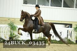 24BUCK_03435 proof