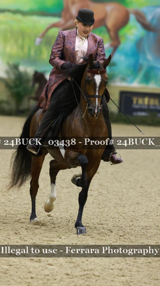 Proof 24BUCK_03438