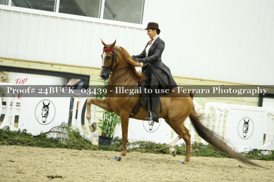 Proof 24BUCK_03439