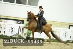 24BUCK_03439 proof