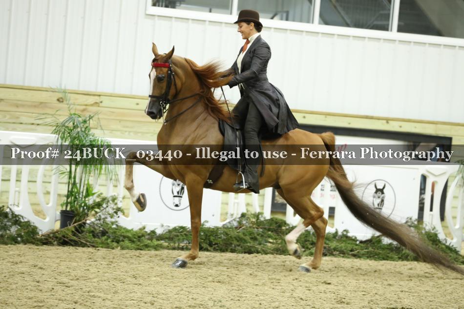 Proof 24BUCK_03440