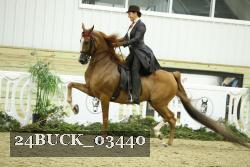 24BUCK_03440 proof