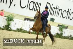 24BUCK_03441 proof