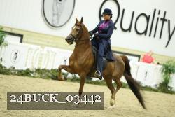 24BUCK_03442 proof