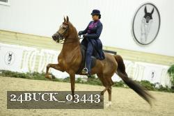 24BUCK_03443 proof
