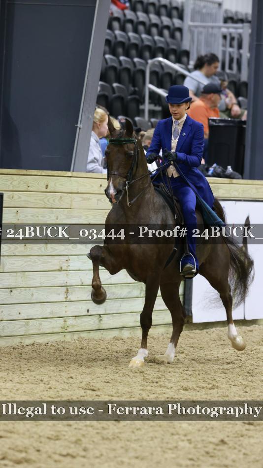 Proof 24BUCK_03444