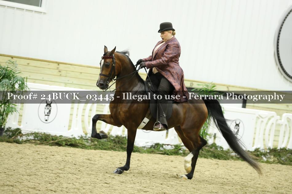Proof 24BUCK_03445