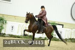 24BUCK_03445 proof