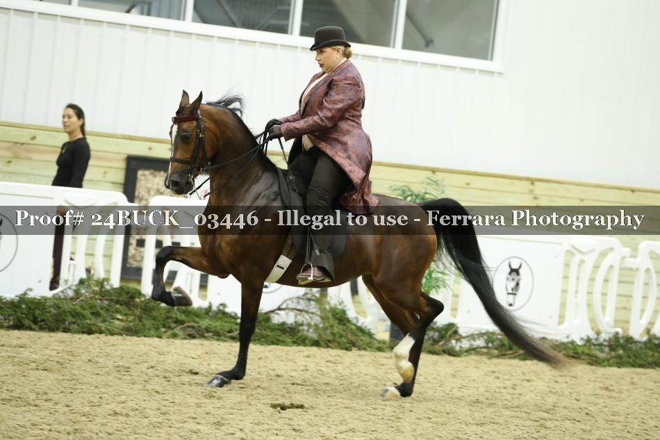 Proof 24BUCK_03446