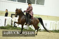 24BUCK_03446 proof