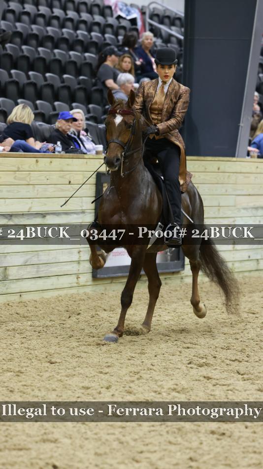Proof 24BUCK_03447