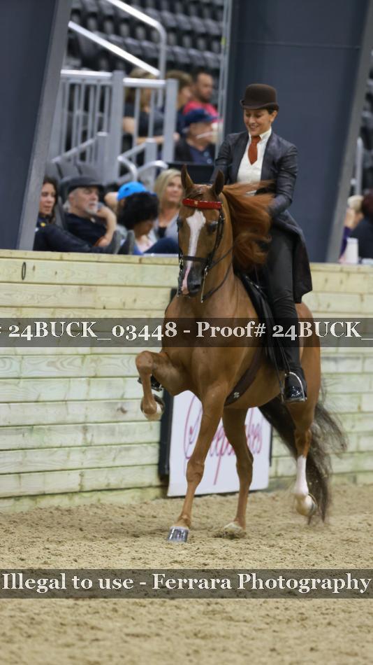 Proof 24BUCK_03448