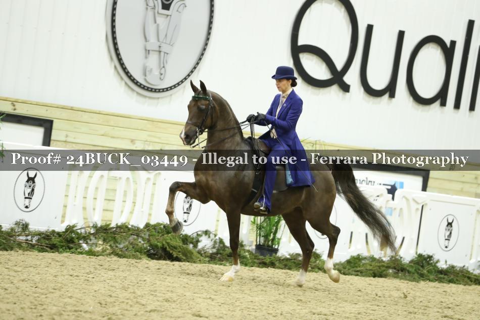 Proof 24BUCK_03449