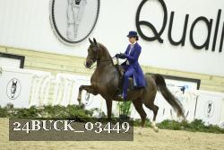 24BUCK_03449 proof