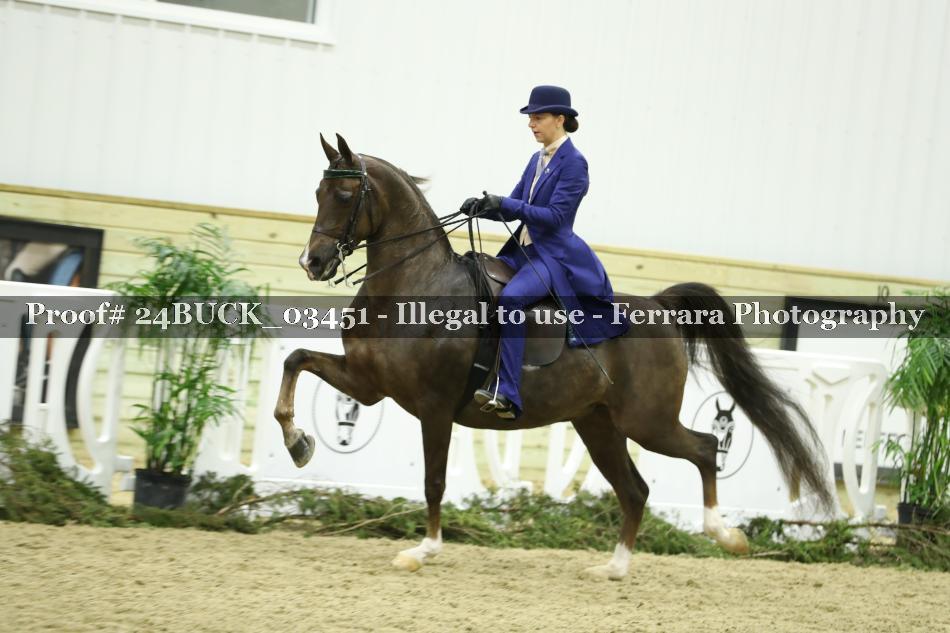 Proof 24BUCK_03451