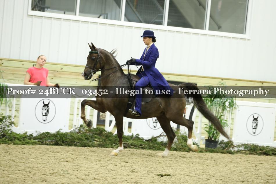 Proof 24BUCK_03452