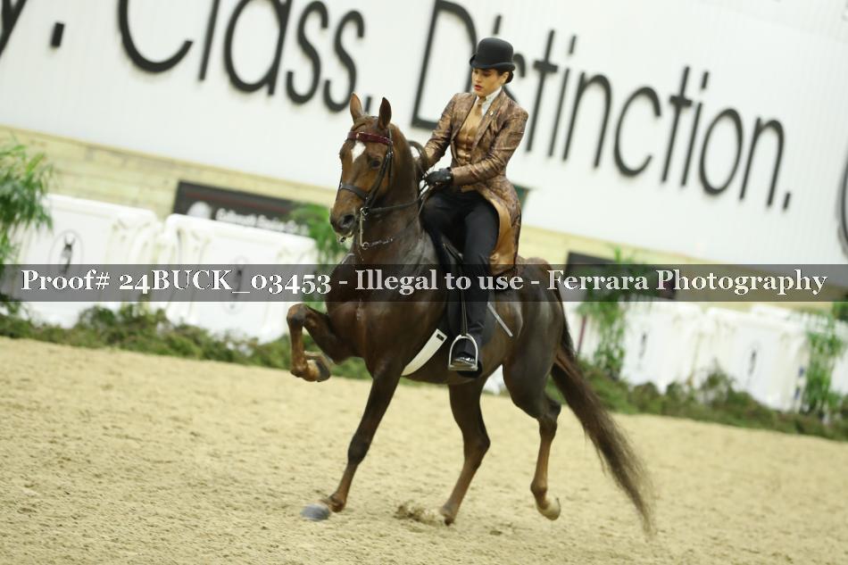 Proof 24BUCK_03453