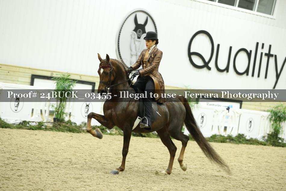 Proof 24BUCK_03455