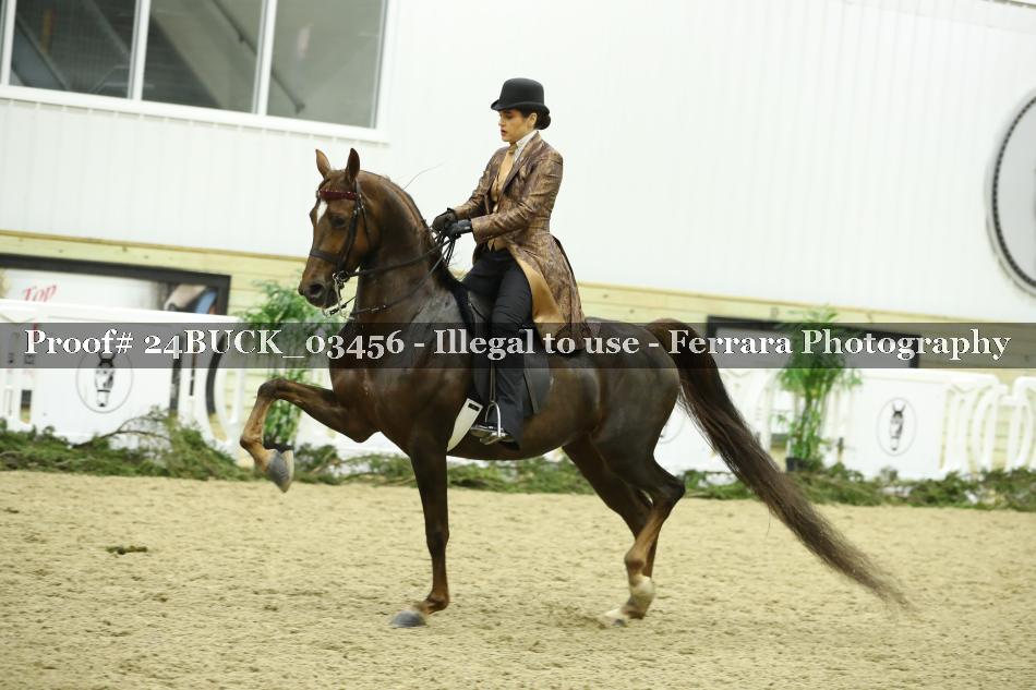 Proof 24BUCK_03456