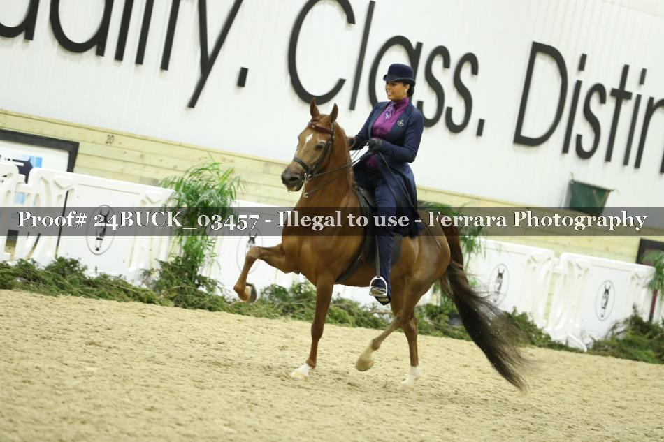 Proof 24BUCK_03457