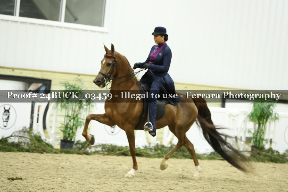 Proof 24BUCK_03459