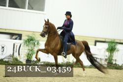 24BUCK_03459 proof
