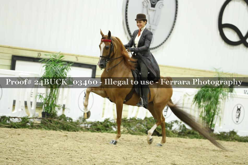 Proof 24BUCK_03460