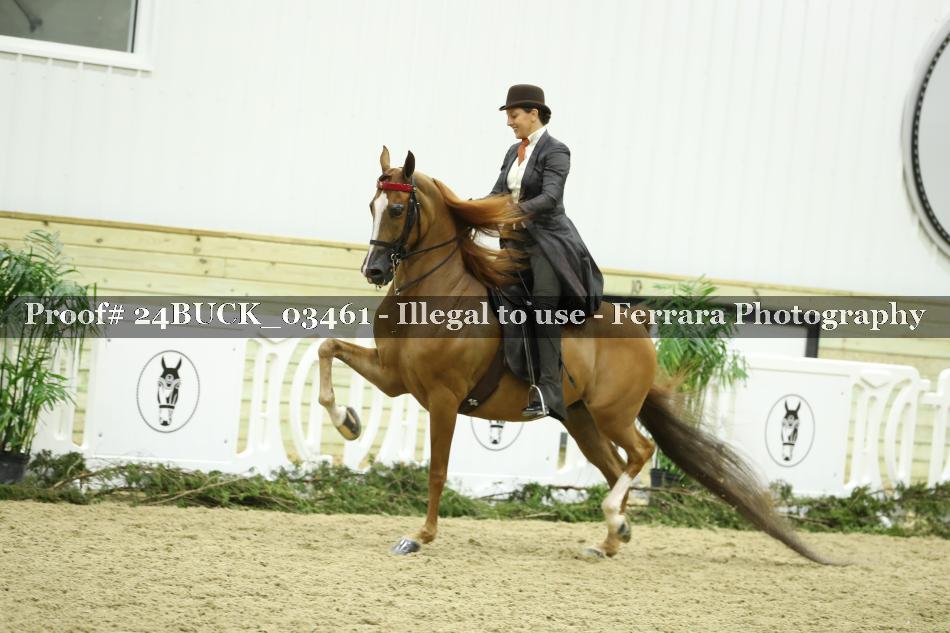 Proof 24BUCK_03461