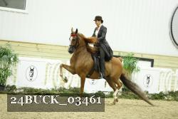 24BUCK_03461 proof