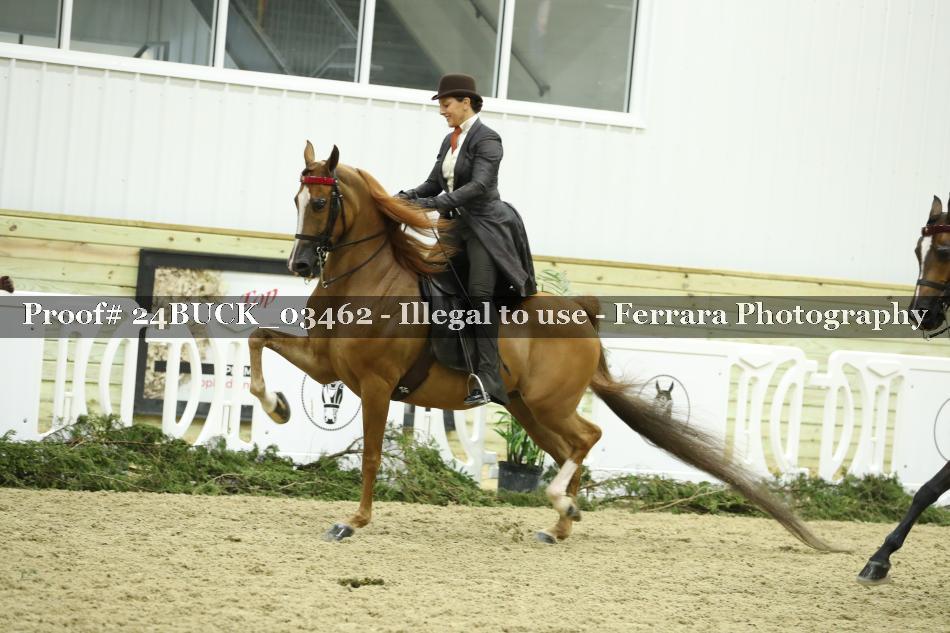 Proof 24BUCK_03462