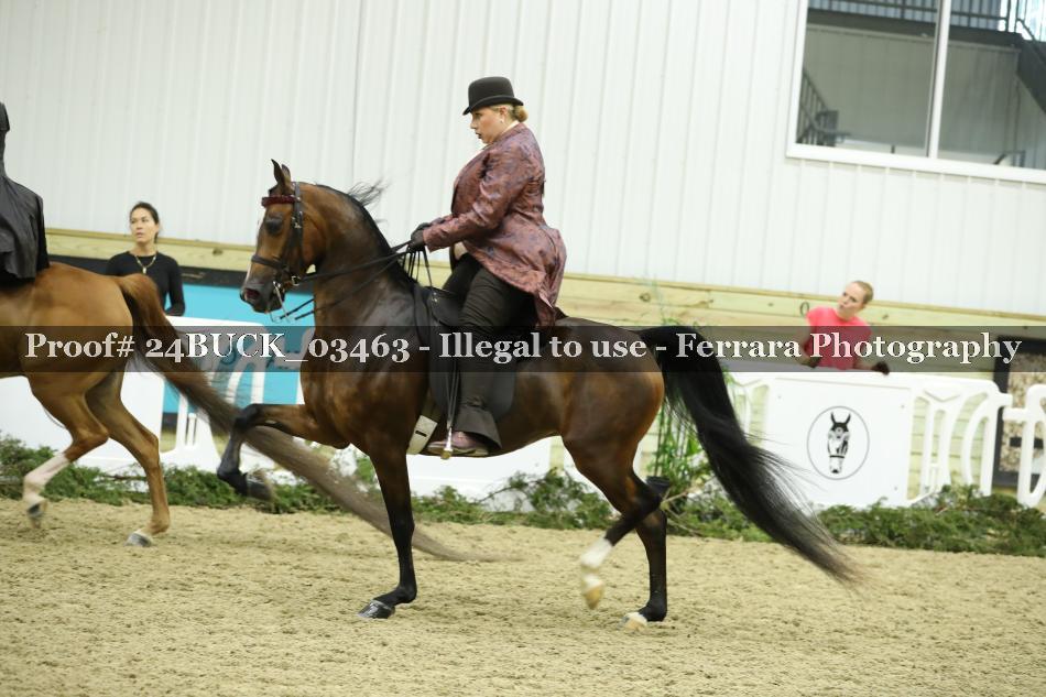 Proof 24BUCK_03463