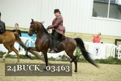 24BUCK_03463 proof