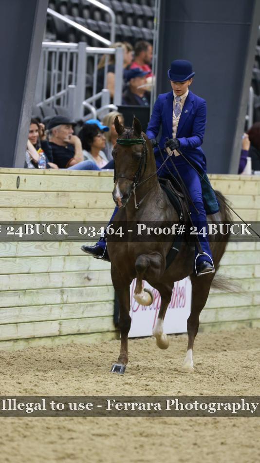 Proof 24BUCK_03464
