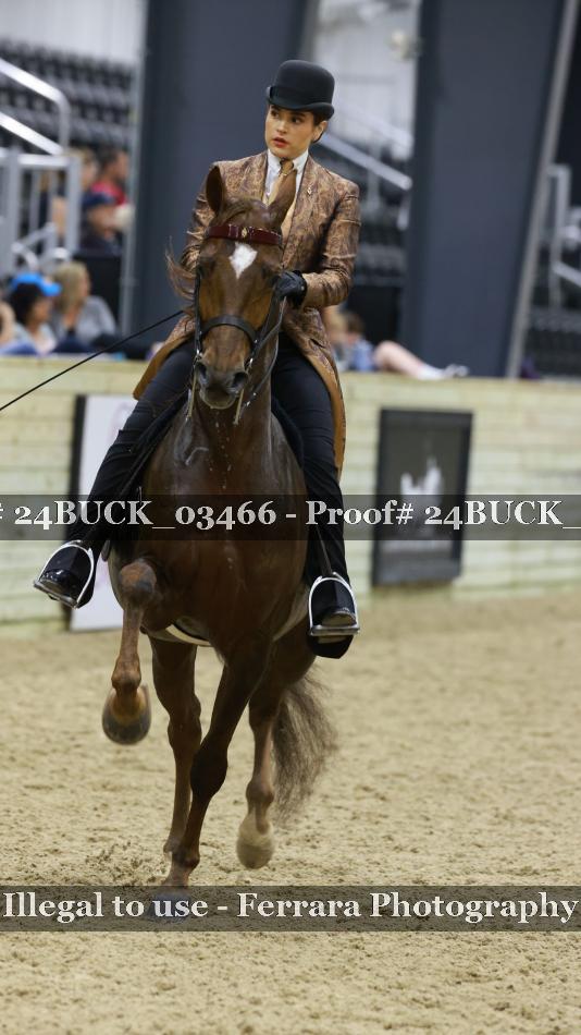 Proof 24BUCK_03466