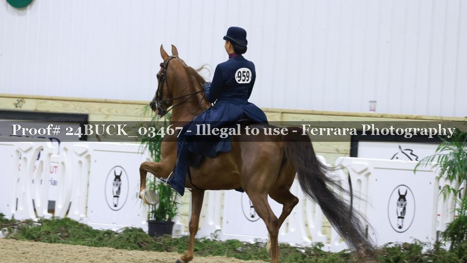 Proof 24BUCK_03467