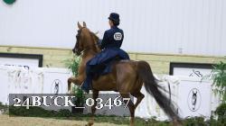 24BUCK_03467 proof
