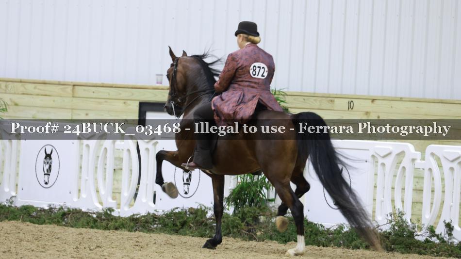 Proof 24BUCK_03468