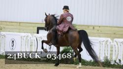 24BUCK_03468 proof