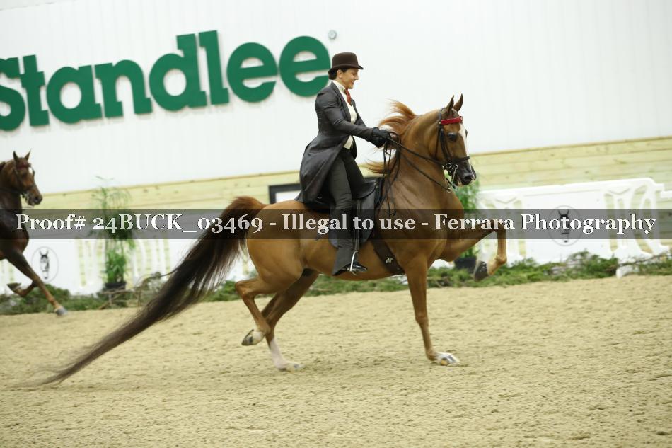 Proof 24BUCK_03469