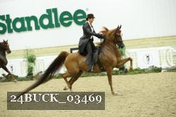 24BUCK_03469 proof