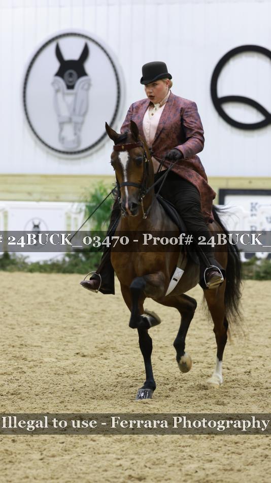 Proof 24BUCK_03470