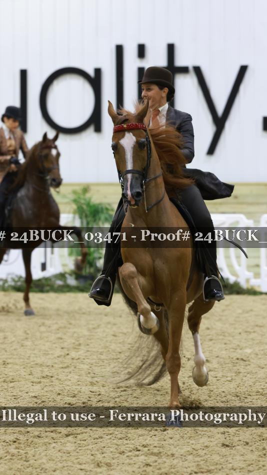 Proof 24BUCK_03471