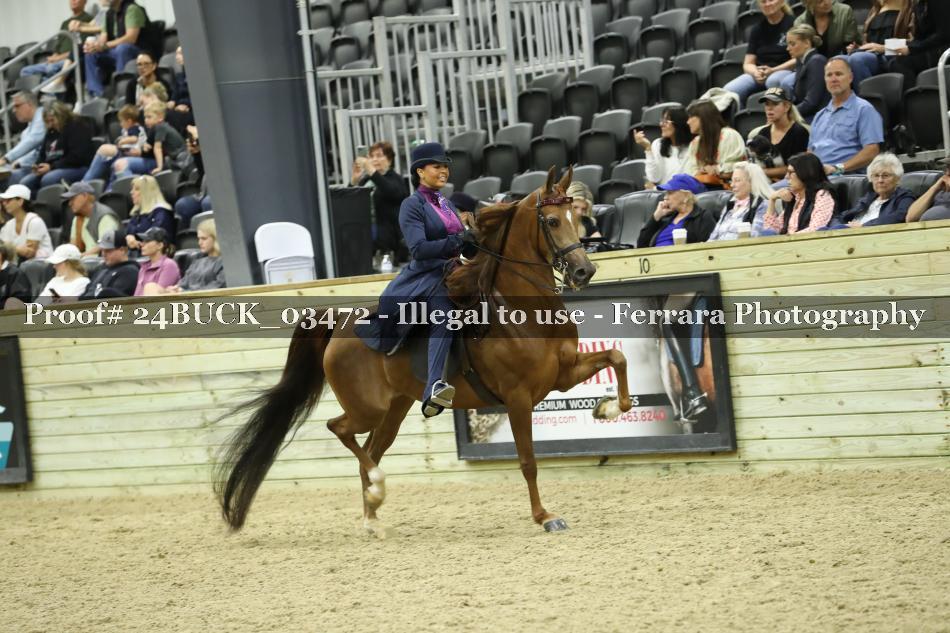 Proof 24BUCK_03472