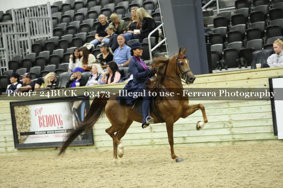 Proof 24BUCK_03473