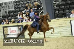24BUCK_03473 proof