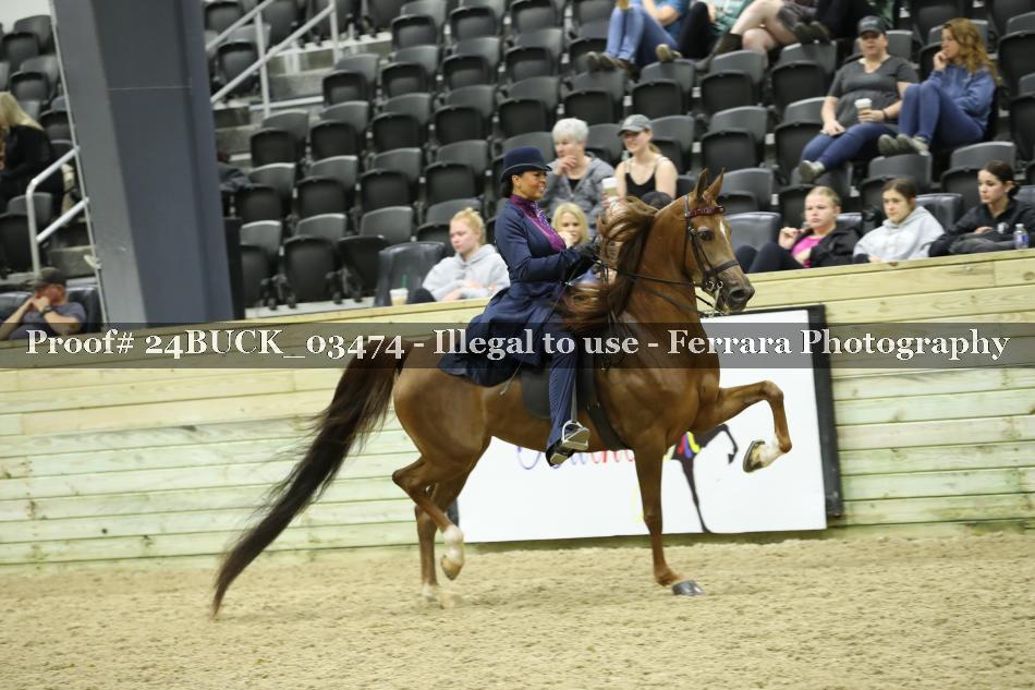 Proof 24BUCK_03474