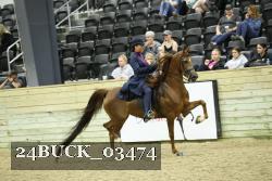 24BUCK_03474 proof