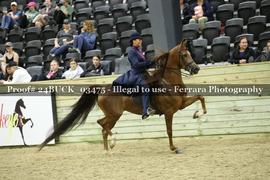 Proof 24BUCK_03475