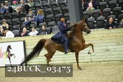 24BUCK_03475 proof