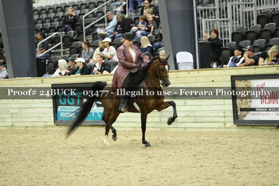 Proof 24BUCK_03477